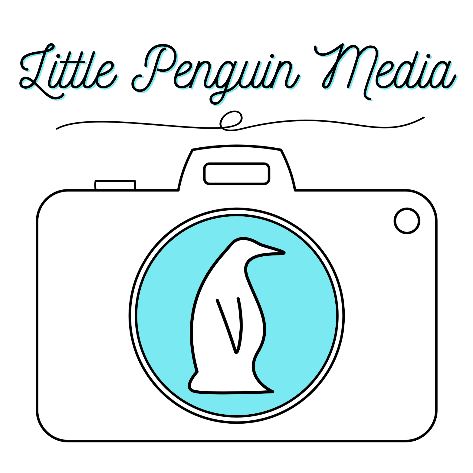 Little Penguin Media, LLC